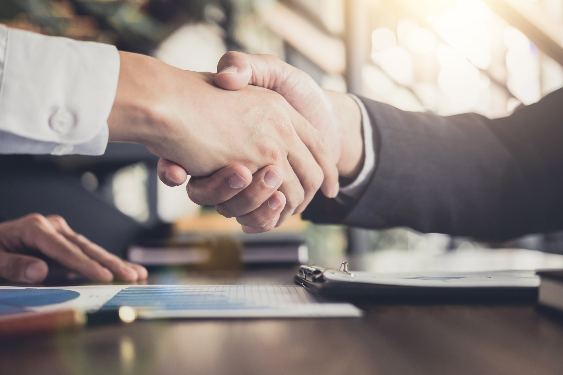 Confident Business Handshake 